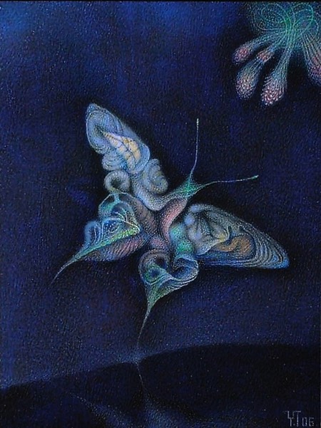 2006 butterfly