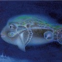 2012 skeleton fish