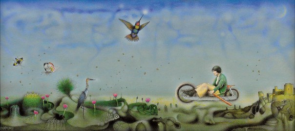 2011-12 paradise street